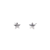 Little star earrings